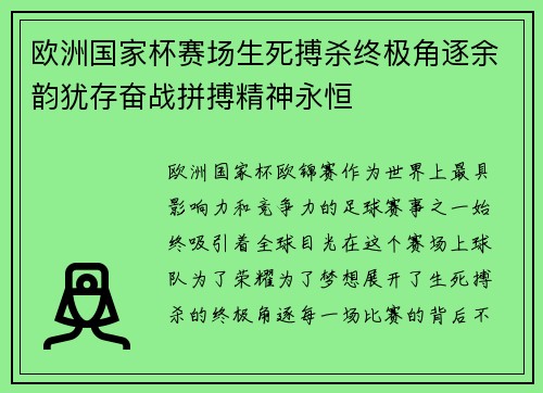 欧洲国家杯赛场生死搏杀终极角逐余韵犹存奋战拼搏精神永恒