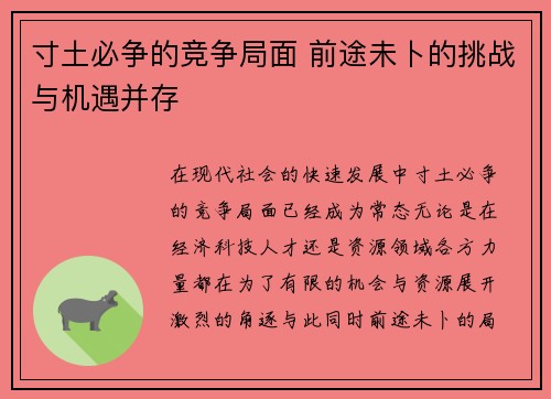 寸土必争的竞争局面 前途未卜的挑战与机遇并存